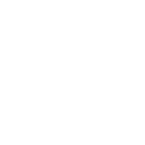 BASEUS