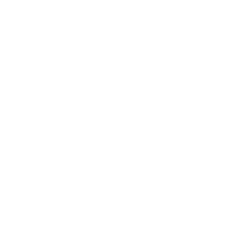 ROBOROCK